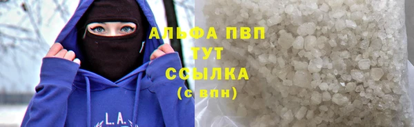 тгк Бородино