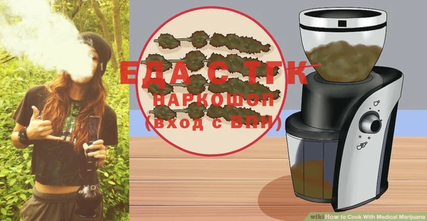 тгк Бородино