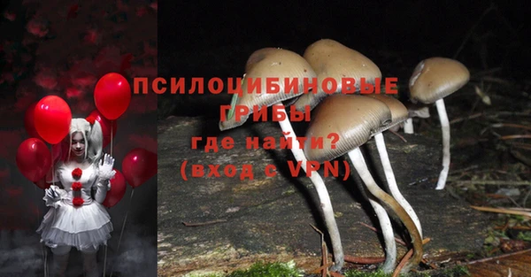 Альфа ПВП Бугульма