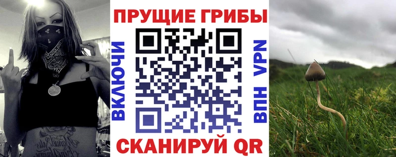 Галлюциногенные грибы Magic Shrooms  Славянск-на-Кубани 